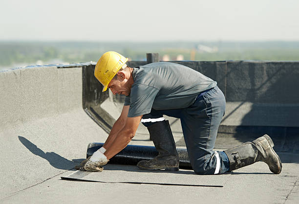 Best Attic Insulation Installation  in Sierra View, PA