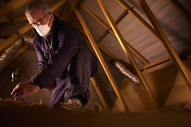 Best Insulation Contractors for Homes  in Sierra View, PA